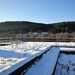 Nad Dziką Orlicą Z Jacuzzi Poniatow