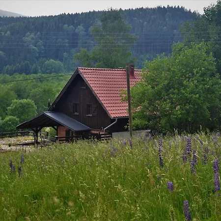 Nad Dziką Orlicą Z Jacuzzi