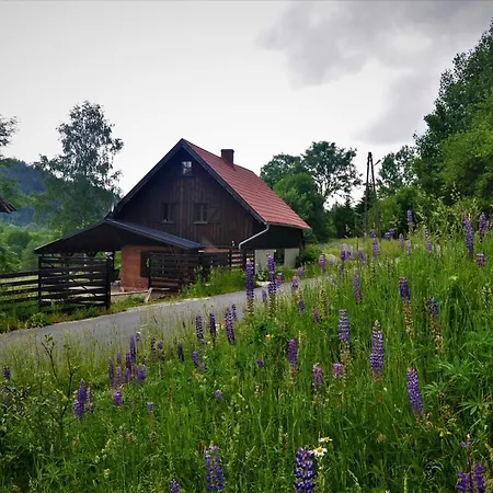 Nad Dzika Orlica Z Jacuzzi 펜션 *