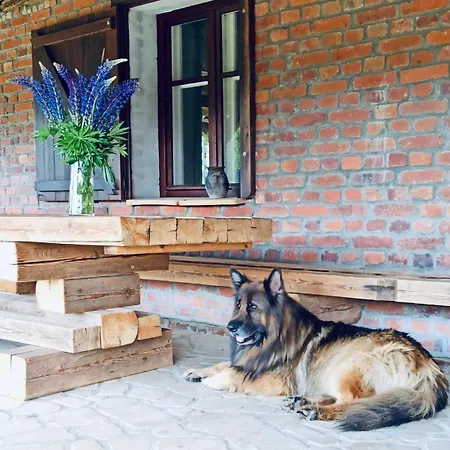 Nad Dzika Orlica Z Jacuzzi Poniatow