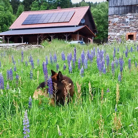 Nad Dzika Orlica Z Jacuzzi Poniatow