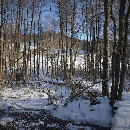 Nad Dzika Orlica Z Jacuzzi *