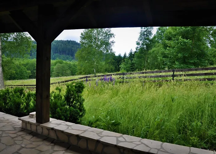 Nad Dzika Orlica Z Jacuzzi Holiday home