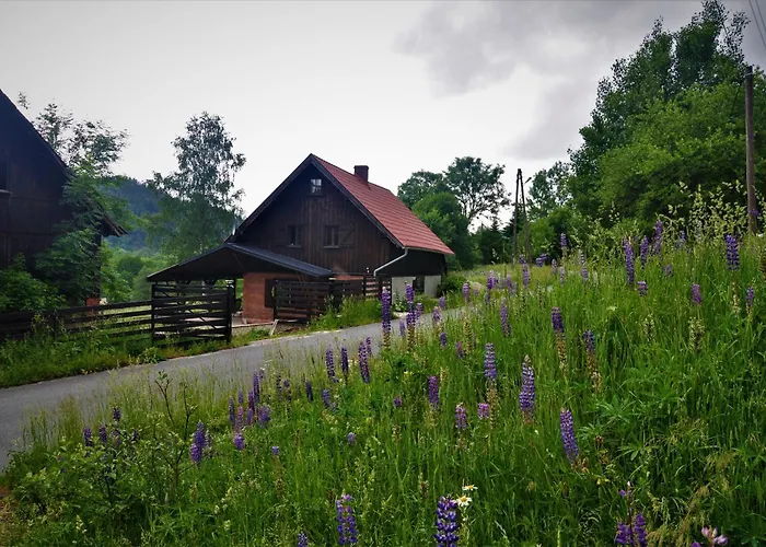 Nad Dzika Orlica Z Jacuzzi Holiday home *