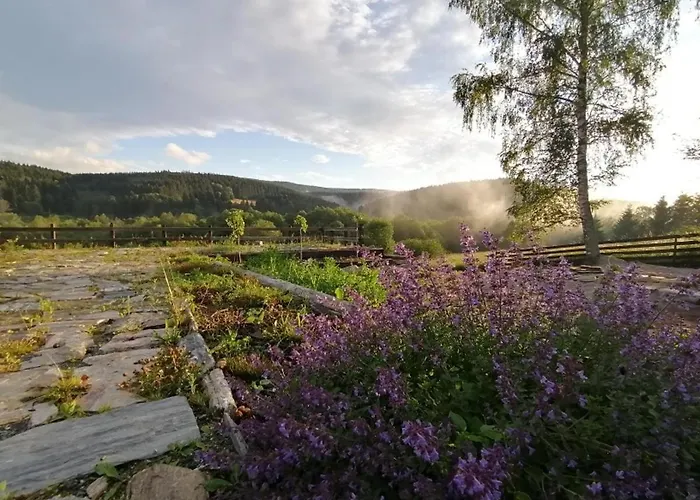 Holiday home Nad Dzika Orlica Z Jacuzzi