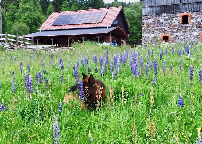 Nad Dzika Orlica Z Jacuzzi Poniatow