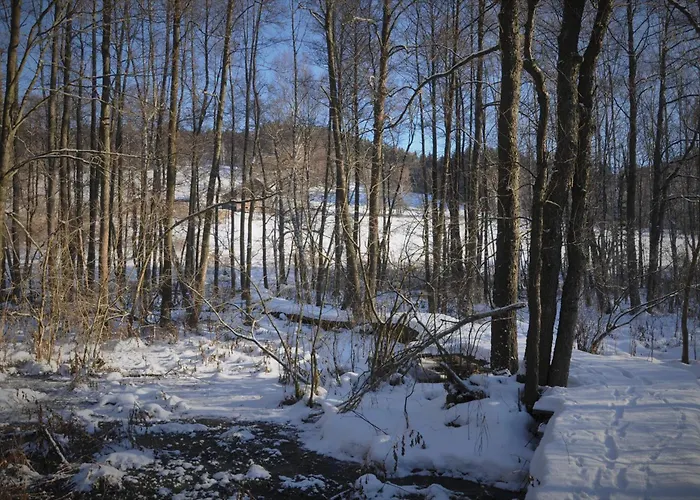 Nad Dzika Orlica Z Jacuzzi *