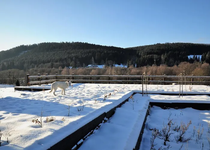 Nad Dzika Orlica Z Jacuzzi Poniatow