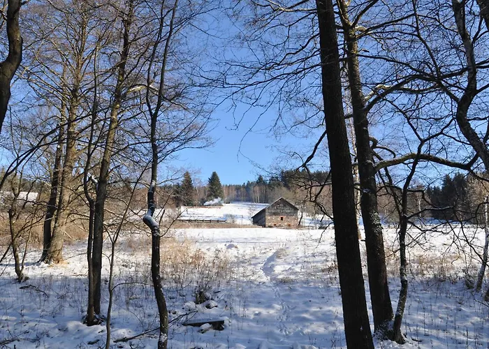 Holiday home Nad Dzika Orlica Z Jacuzzi Poniatow