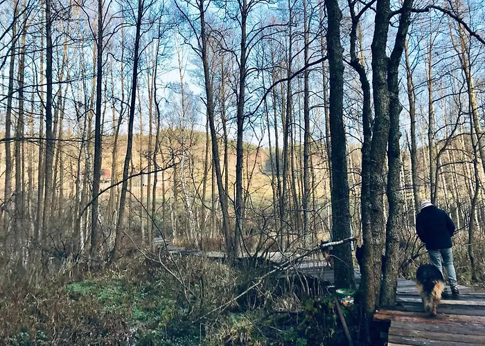 Nad Dzika Orlica Z Jacuzzi Holiday home Poniatow